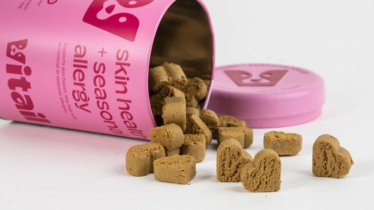 Understanding Pet Supplements: What Does Your Pet Really Need?