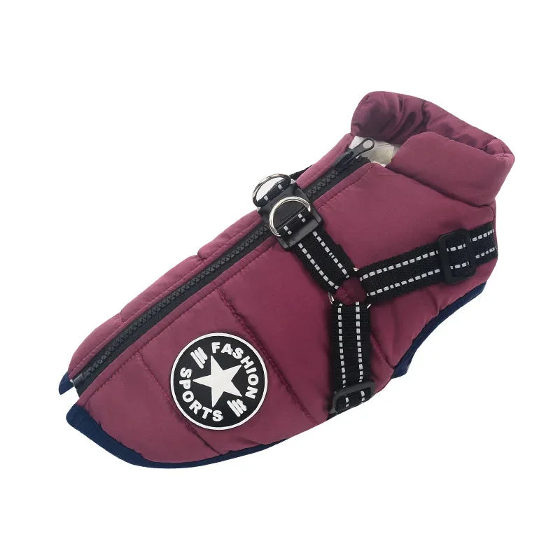 Waterproof Dog Jacket With Harness -
