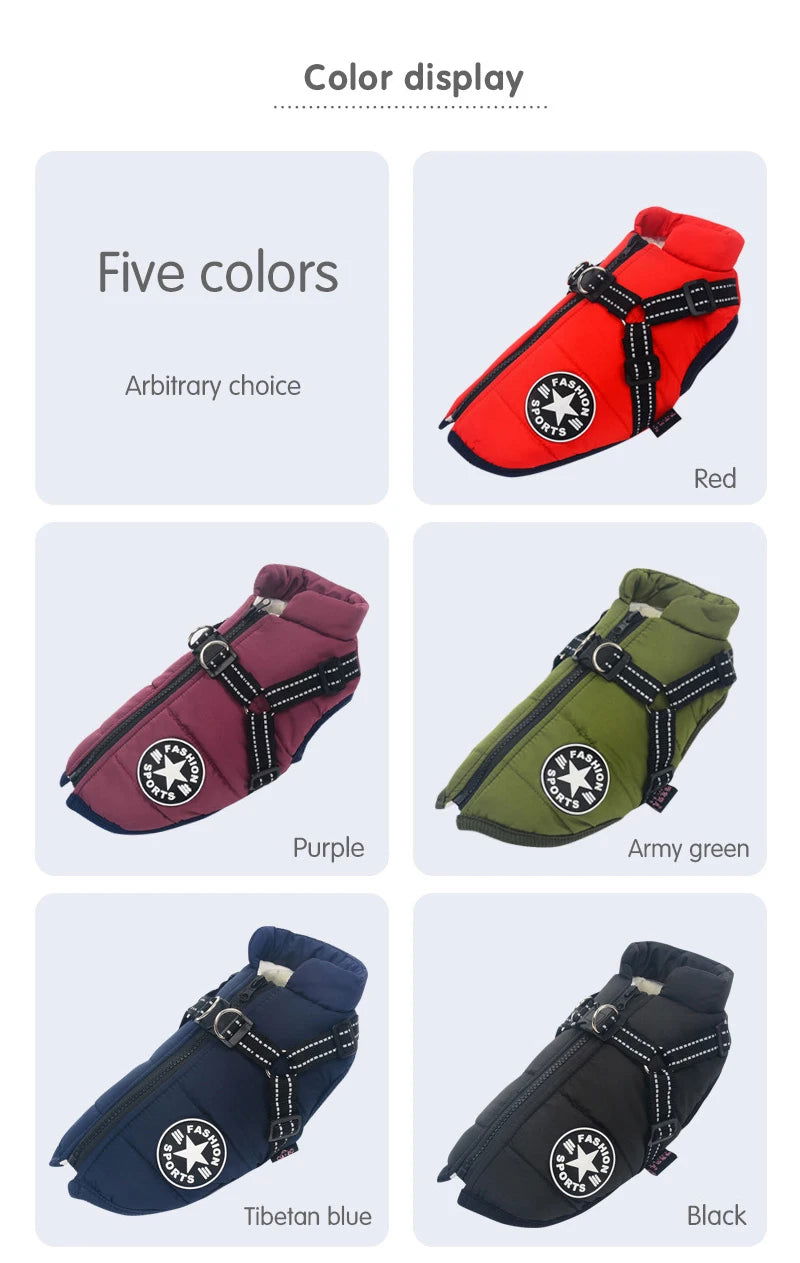 Waterproof Dog Jacket With Harness -