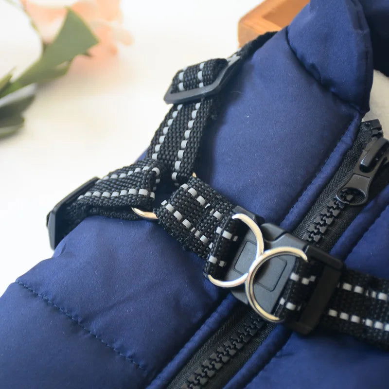 Waterproof Dog Jacket With Harness -