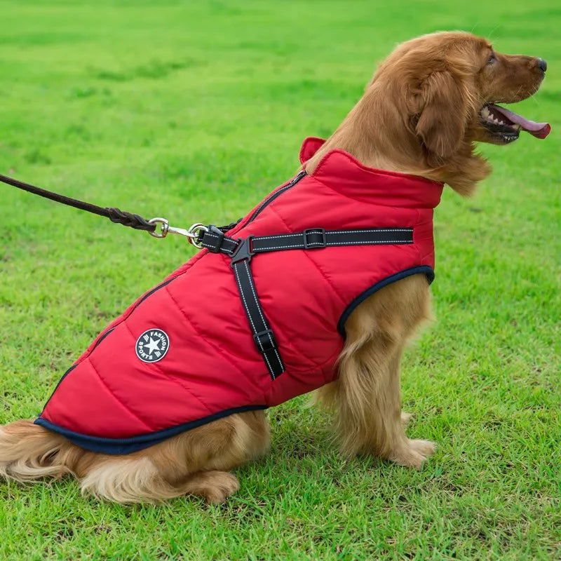 Waterproof Dog Jacket With Harness -