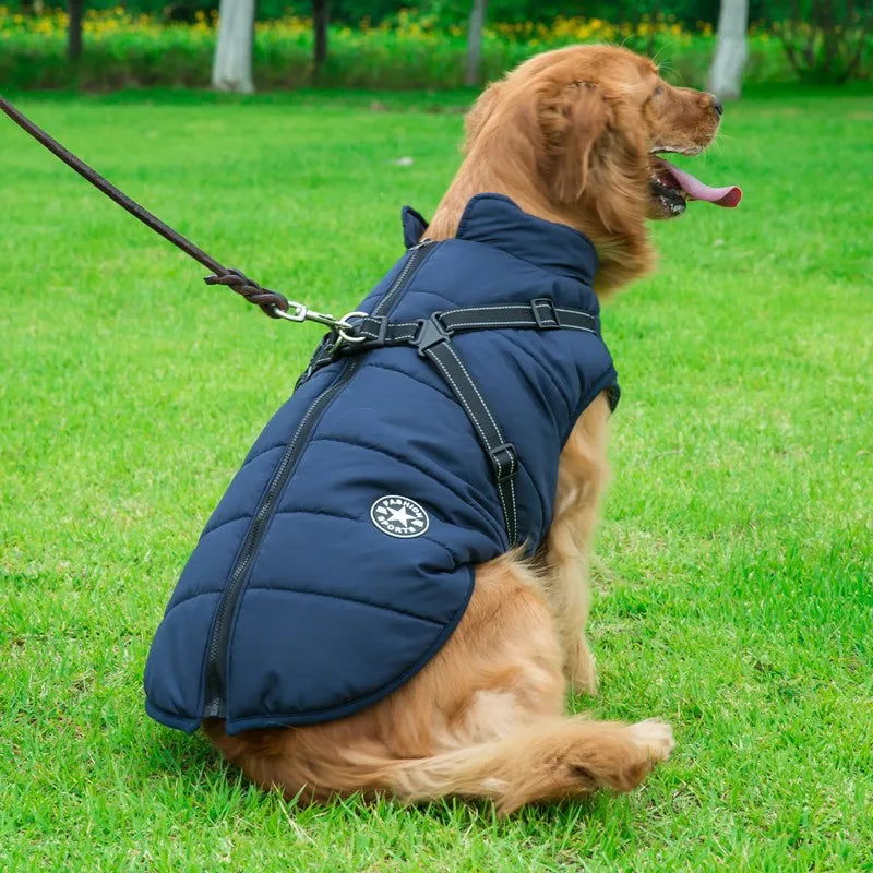 Waterproof Dog Jacket With Harness -