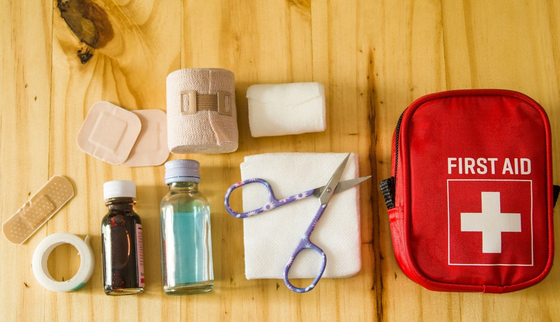 Pet First Aid Essentials: Creating an Emergency Kit for Your Dog or Cat