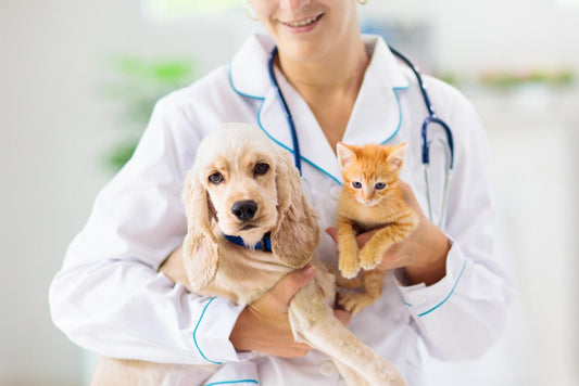 Pet Health Problems