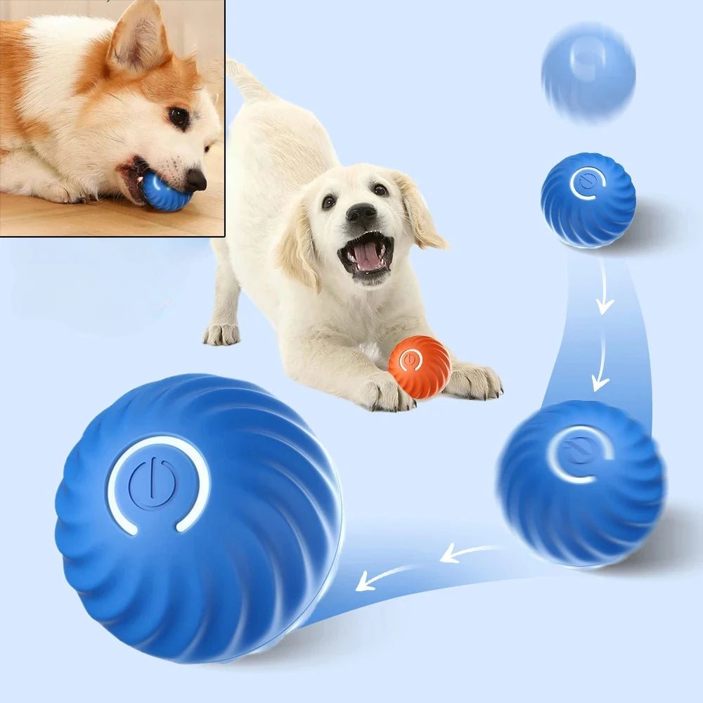 Automatic Moving Dog Toy Ball - USB Rechargeable Bouncing & Rolling Interactive Pet Toy -  