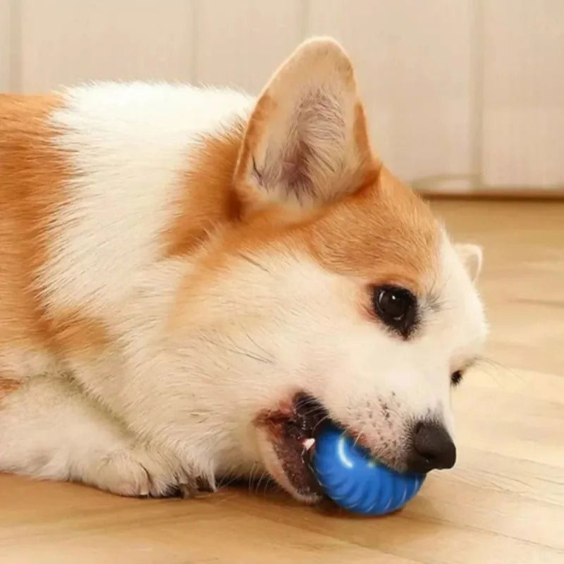 Automatic Moving Dog Toy Ball - USB Rechargeable Bouncing & Rolling Interactive Pet Toy -  