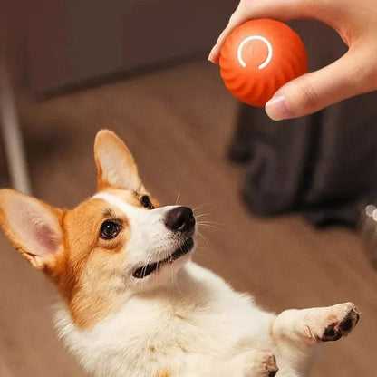 Automatic Moving Dog Toy Ball - USB Rechargeable Bouncing & Rolling Interactive Pet Toy - 