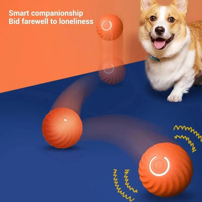Automatic Moving Dog Toy Ball - USB Rechargeable Bouncing & Rolling Interactive Pet Toy - 