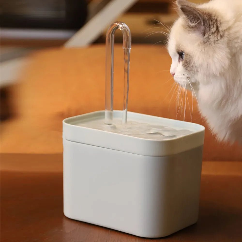 Automatic Ultra-Quiet Cat Water Fountain -  