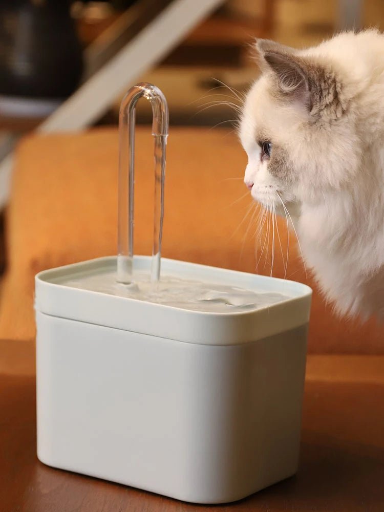 Automatic Ultra-Quiet Cat Water Fountain -  