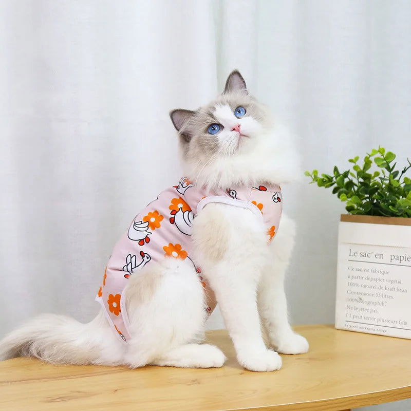 Cat Sterilization Recovery Suit – Anti-Lick Jumpsuit for Small Dogs & Cats After Surgery -  