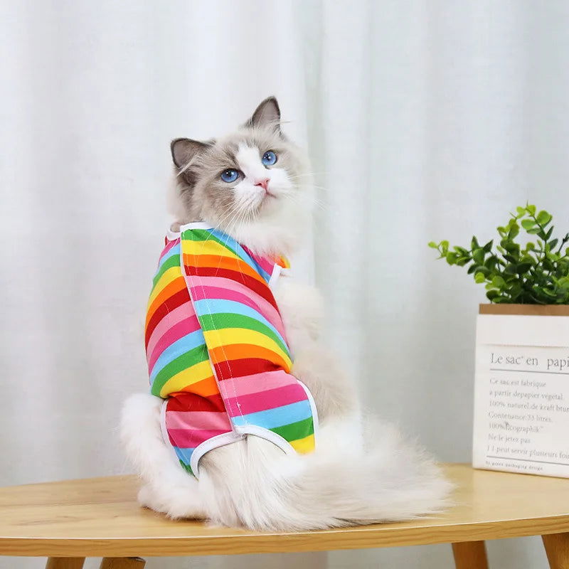Cat Sterilization Recovery Suit – Anti-Lick Jumpsuit for Small Dogs & Cats After Surgery -  