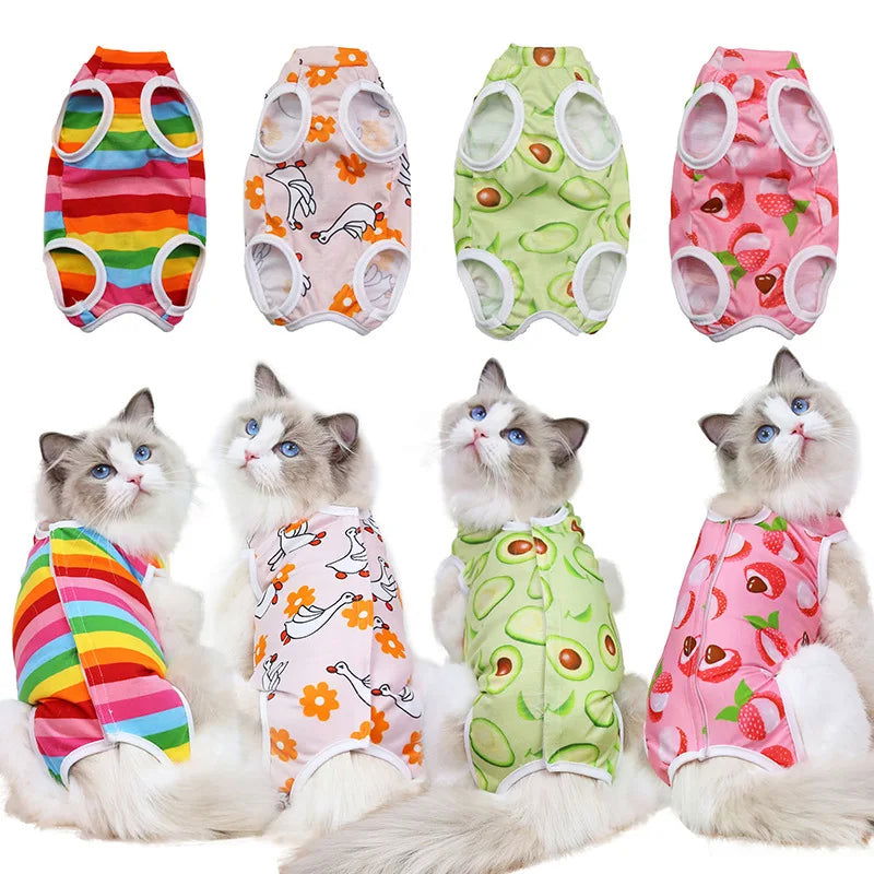 Cat Sterilization Recovery Suit – Anti-Lick Jumpsuit for Small Dogs & Cats After Surgery -  