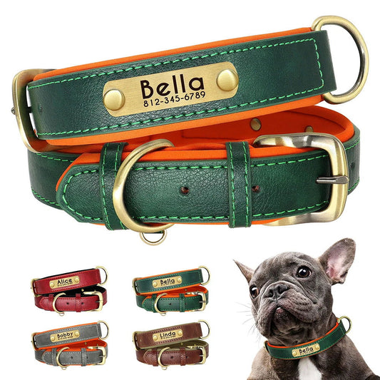 Customized Soft Padded Leather Dog Collar - 