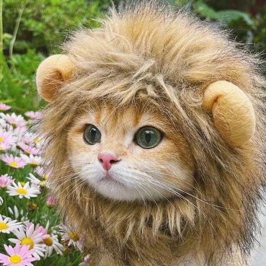 Cute Lion Mane Costume Hat for Cats & Small Dogs – Funny Pet Wig Cosplay Outfit -  