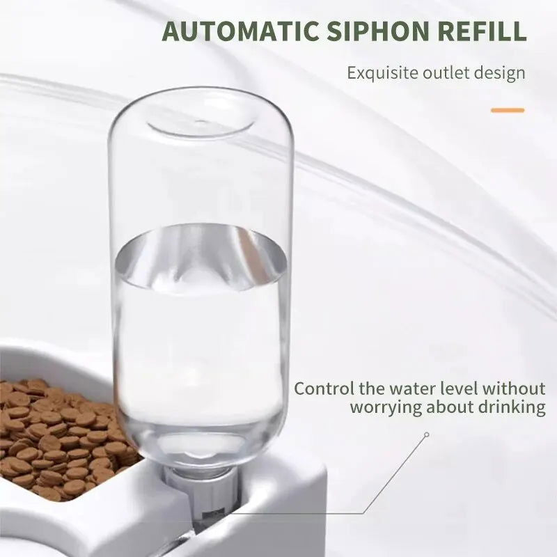 Dog Cat Food and Water Bowl -  