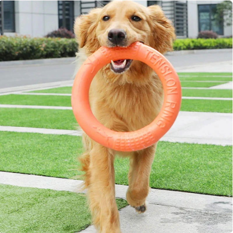 Dog Training Flying Ring – Interactive Puller Toy, Plaque & Tartar Prevention - 