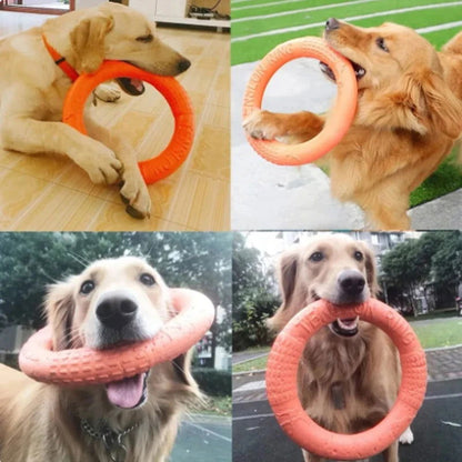 Dog Training Flying Ring – Interactive Puller Toy, Plaque & Tartar Prevention - 