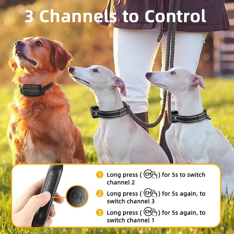 Electric Dog Training Collar with Digital Remote, IPX7 Waterproof, Rechargeable Bark Stop & Shock Vibration Control -  