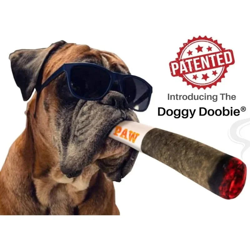 Funny Doggy Doobie Plush Squeaky Toy - 
