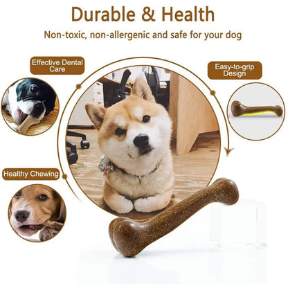 Natural Non-Toxic Dog Bone Chews for Dental Health - 