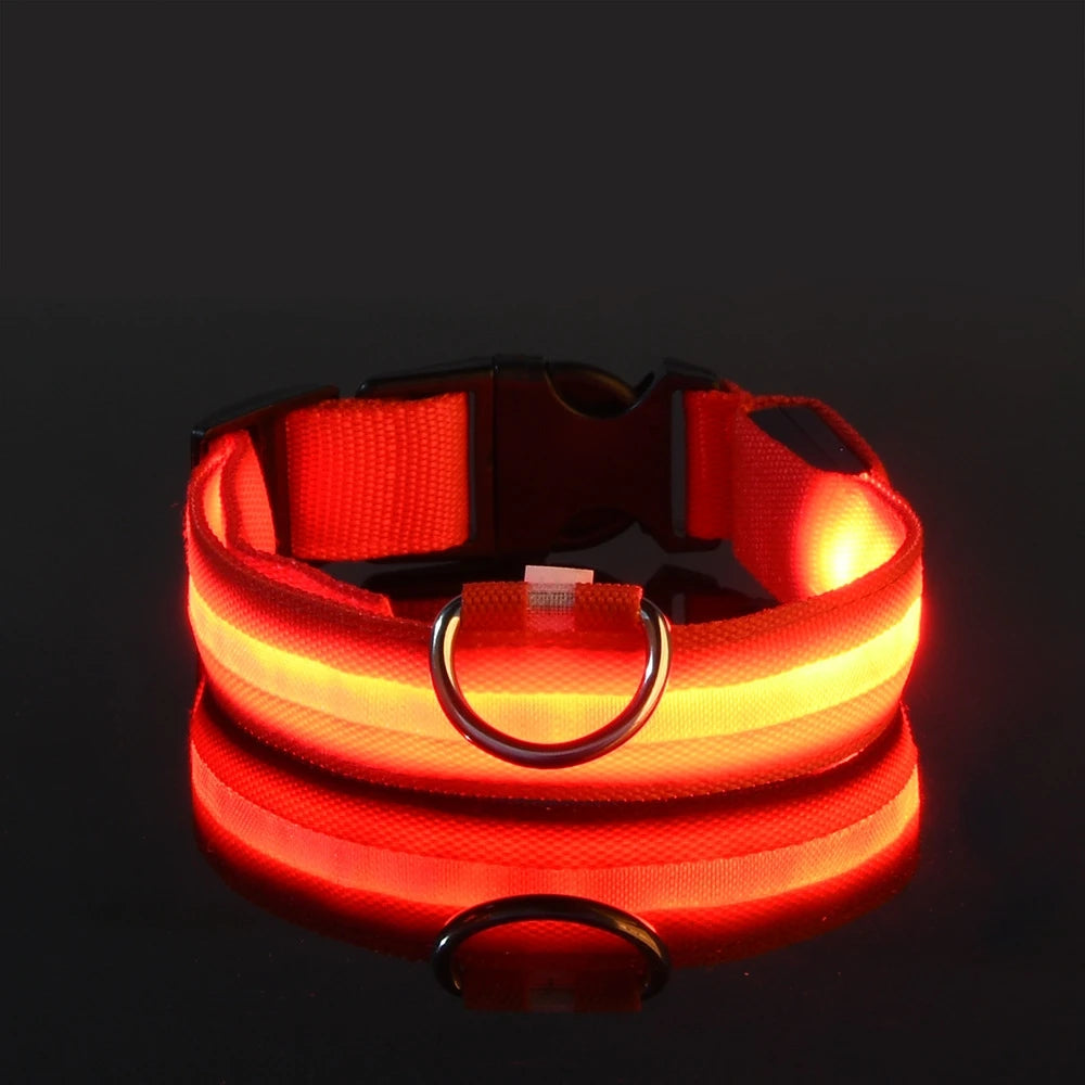 LED Flashing Dog Collar - Nylon Glow-in-the-Dark Luminous Safety Collar