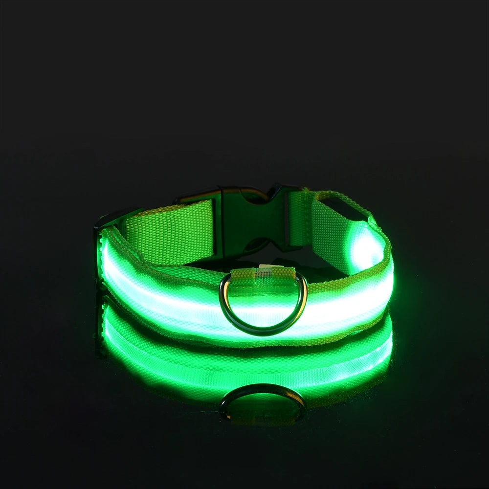 LED Flashing Dog Collar - Nylon Glow-in-the-Dark Luminous Safety Collar