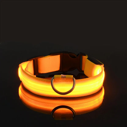 LED Flashing Dog Collar - Nylon Glow-in-the-Dark Luminous Safety Collar