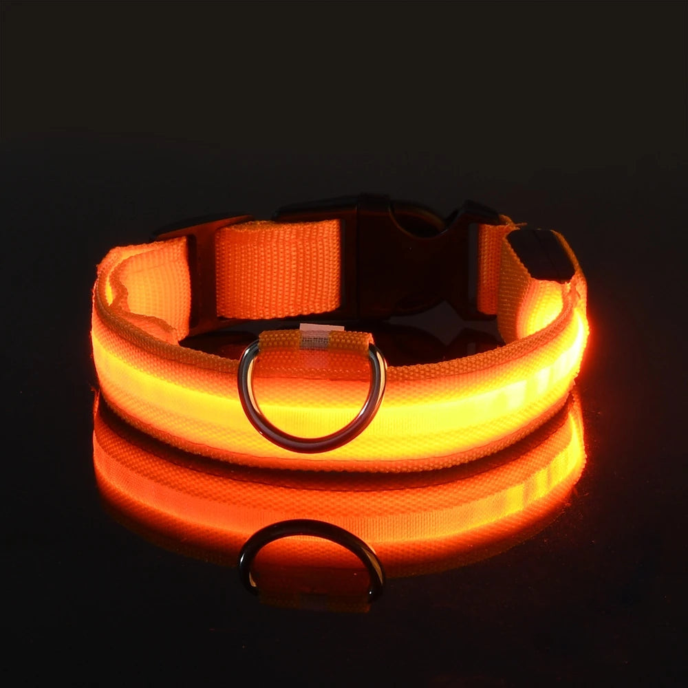 LED Flashing Dog Collar - Nylon Glow-in-the-Dark Luminous Safety Collar