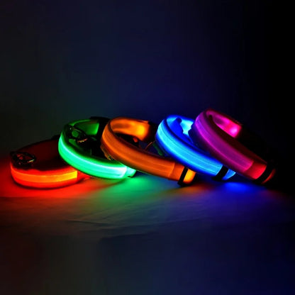 LED Flashing Dog Collar - Nylon Glow-in-the-Dark Luminous Safety Collar