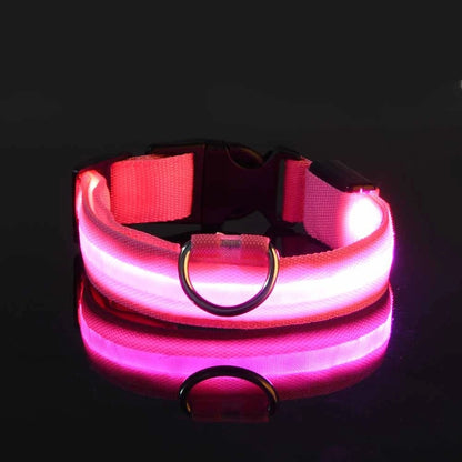 LED Flashing Dog Collar - Nylon Glow-in-the-Dark Luminous Safety Collar