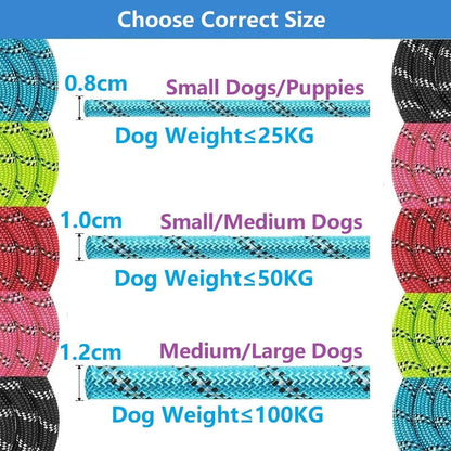Strong Reflective Dog leash with Soft Handle - 