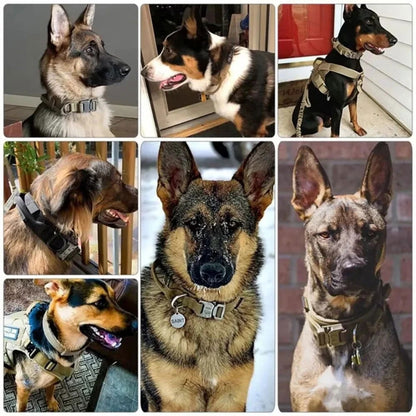 Tactical Police Dog Collar, Military Adjustable Nylon for German Shepherd, Durable Training & Walking Collar - 