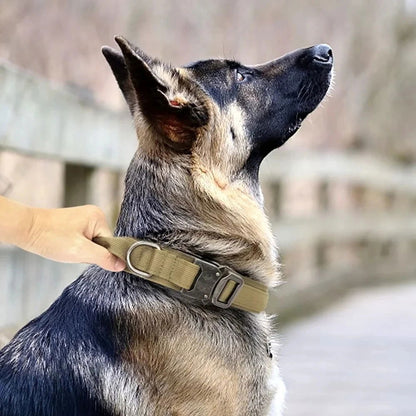 Tactical Police Dog Collar, Military Adjustable Nylon for German Shepherd, Durable Training & Walking Collar - 