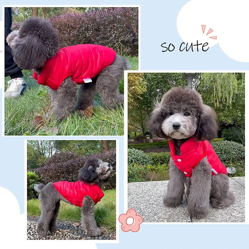 The Dog Face - Double Sided Dog Coat - 
