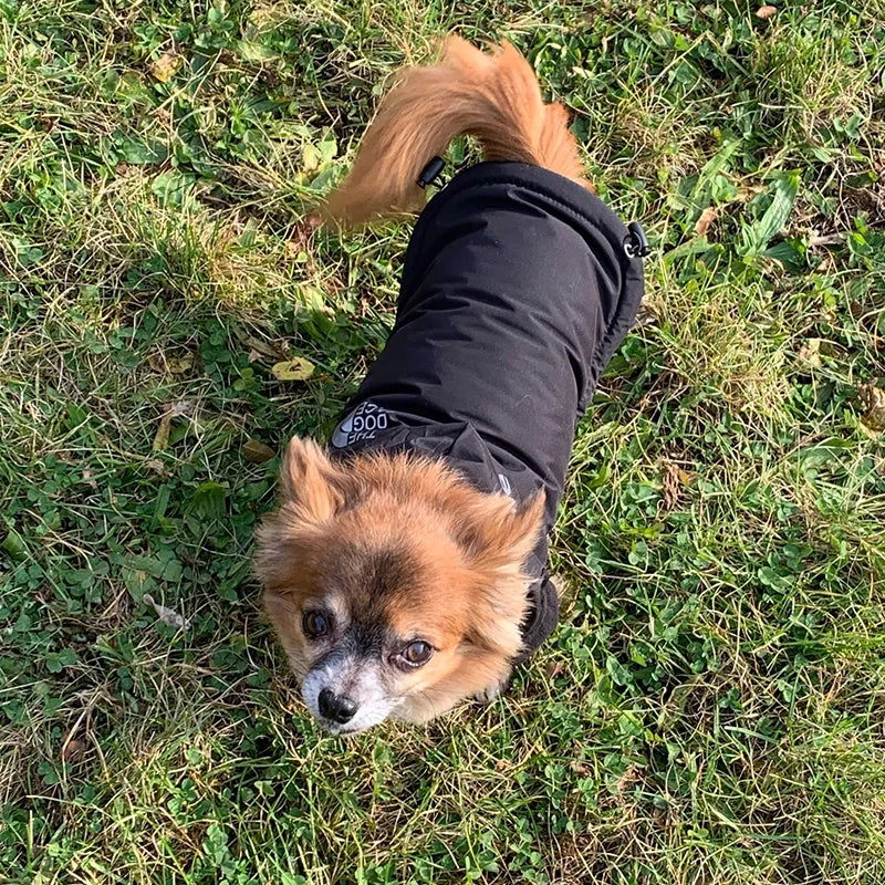 The Dog Face - Waterproof Dog Jacket - 