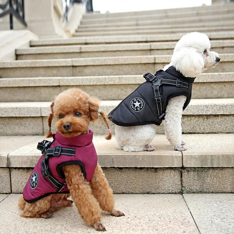 Waterproof Dog Jacket With Harness - 