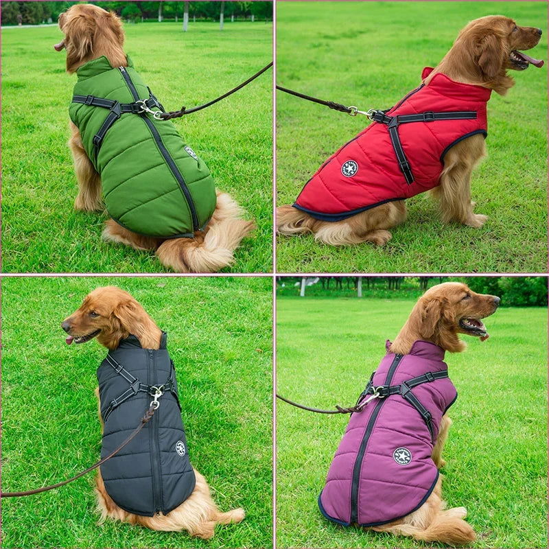 Waterproof Dog Jacket With Harness - 