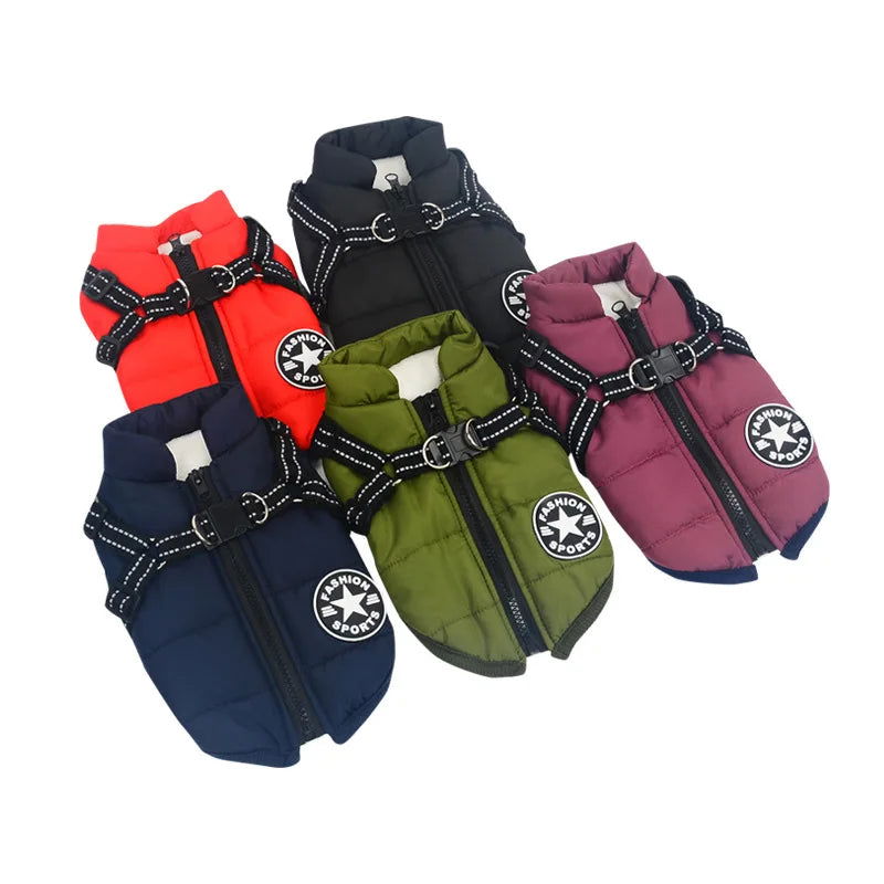 Waterproof Dog Jacket With Harness - 