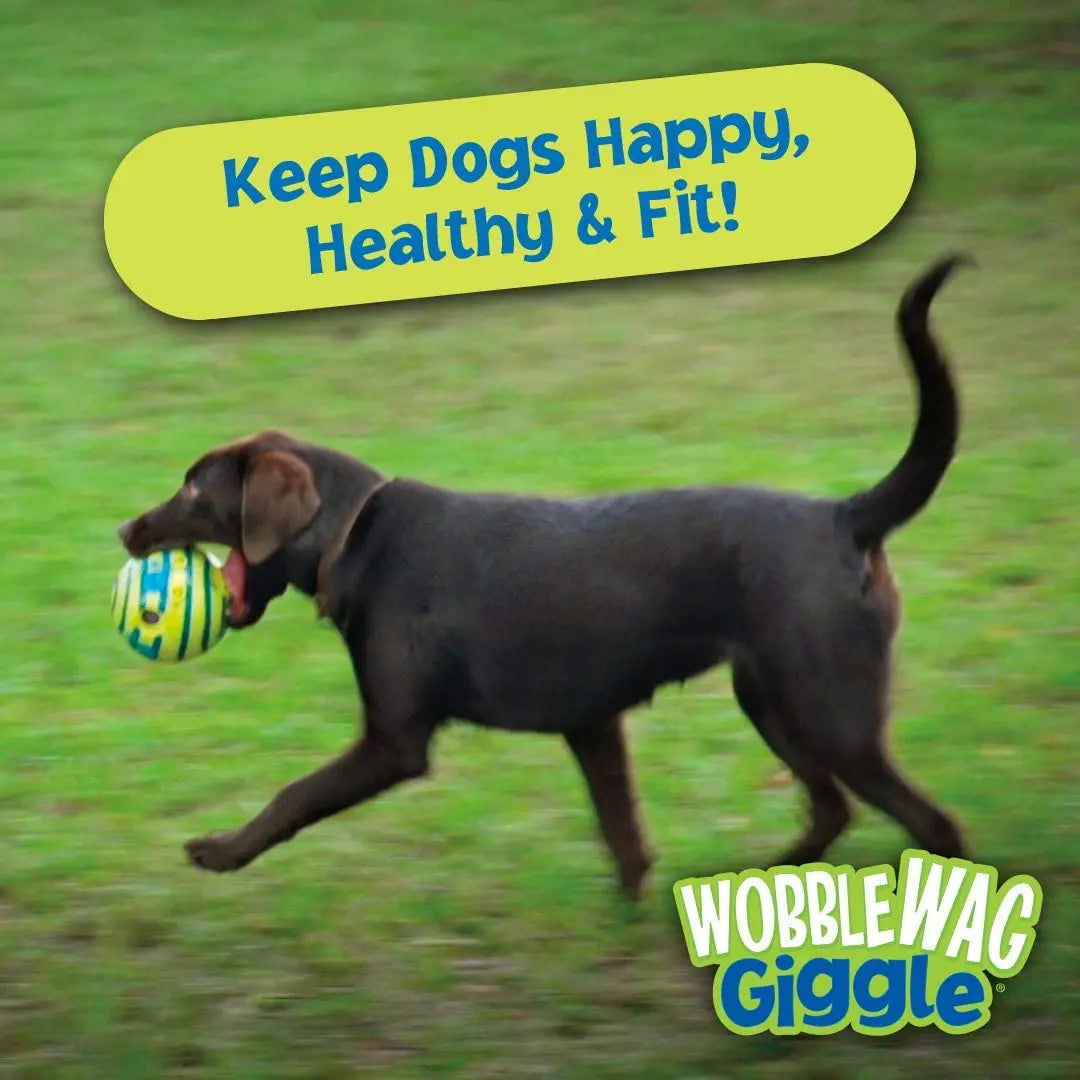 Wobble Wag Giggle Interactive Ball - 